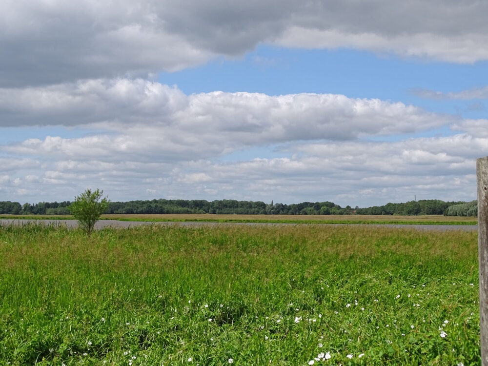 De Tjamme (Groninger Stuwwallen)