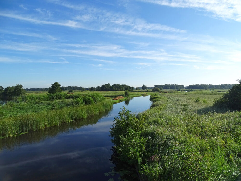 De Wieden