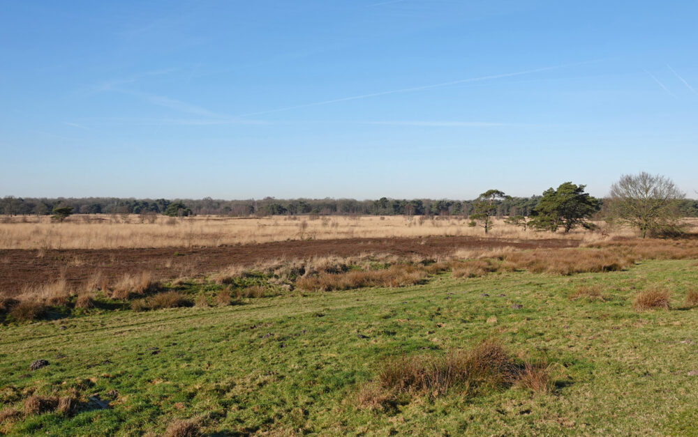 Delleboersterheide