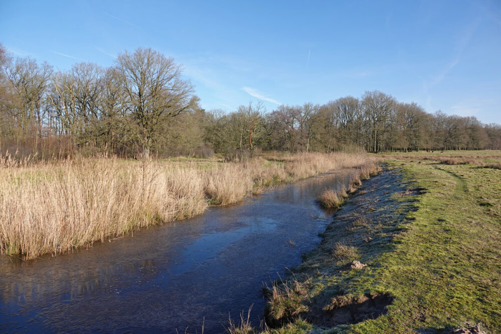 Delleboersterheide (De Hoorn)