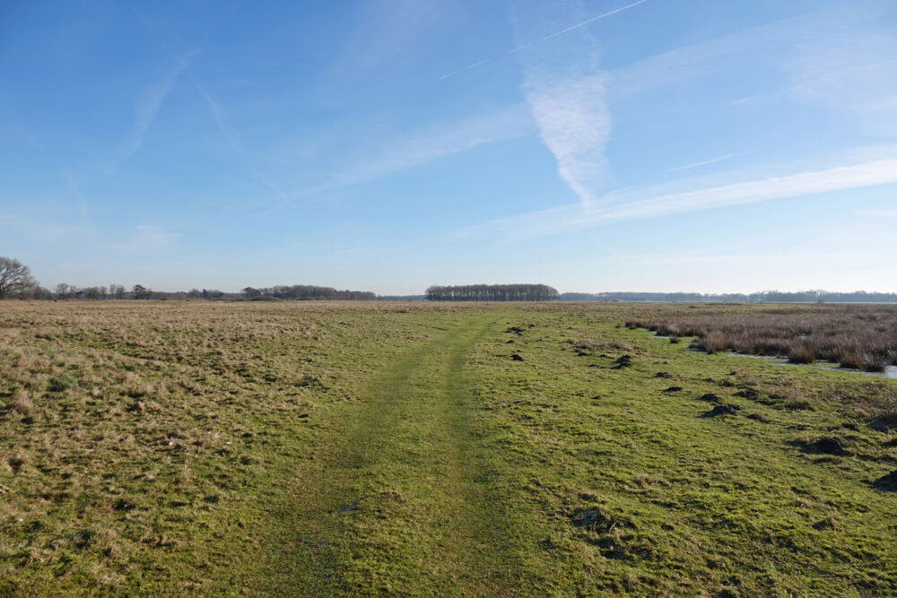 Delleboersterheide (De Hoorn)