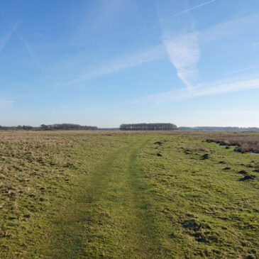 Delleboersterheide (Friesland)