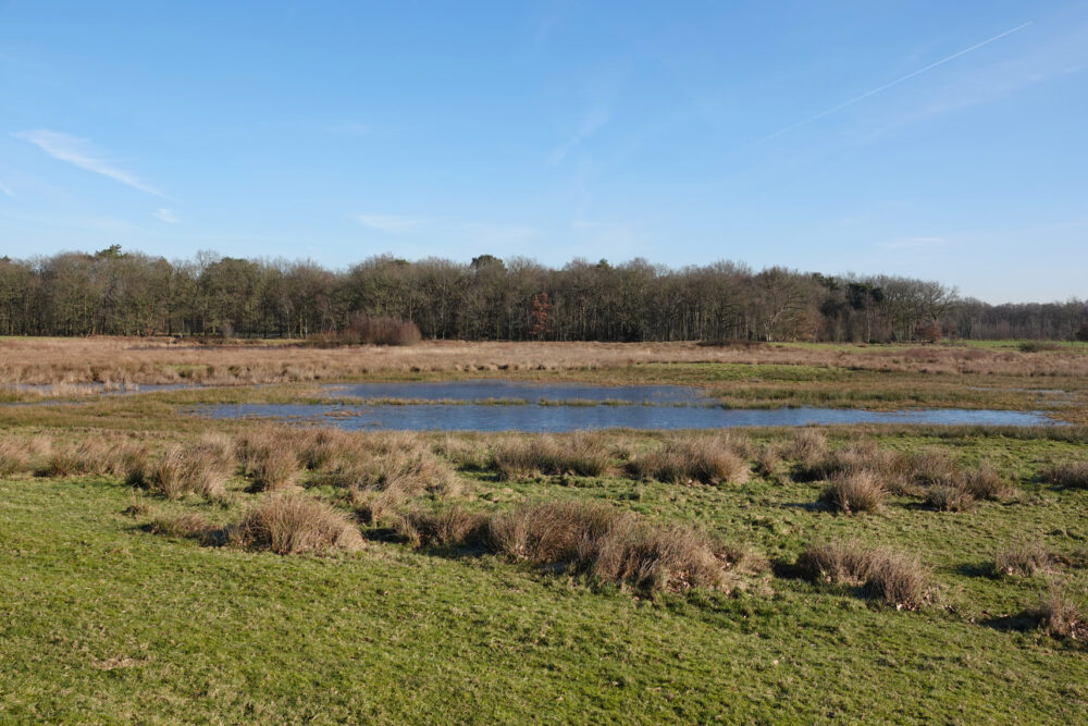 Delleboersterheide