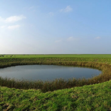 Blije en Ferwert Bûtendyks (Noard-Fryslân-Bûtendyks)