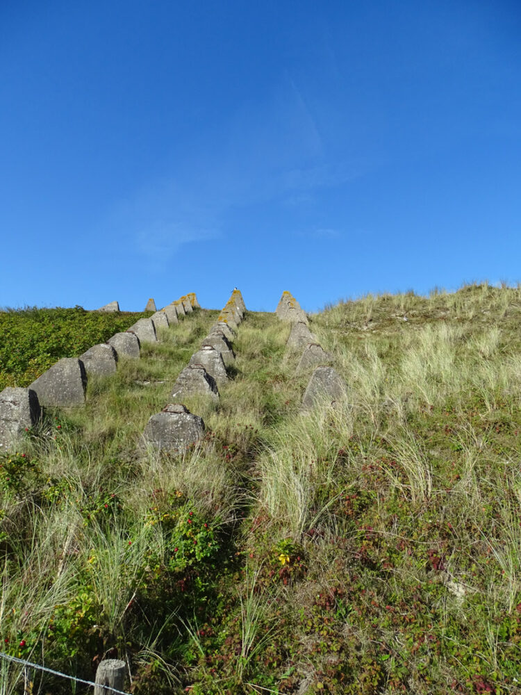 Drakentanden in Noordduinen