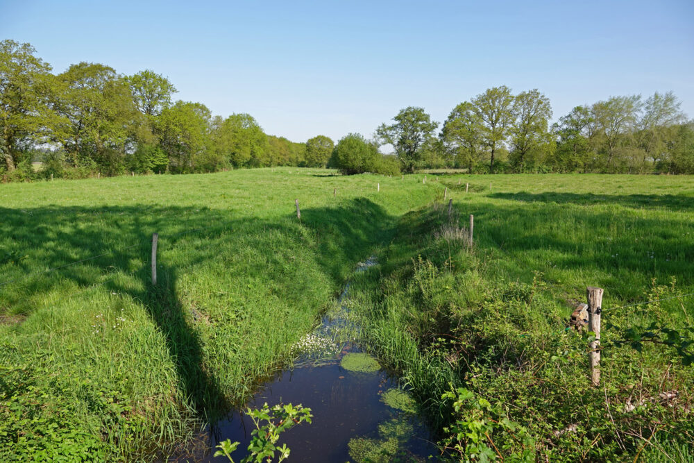 Drentsche Aa (Anlooërdiepje)