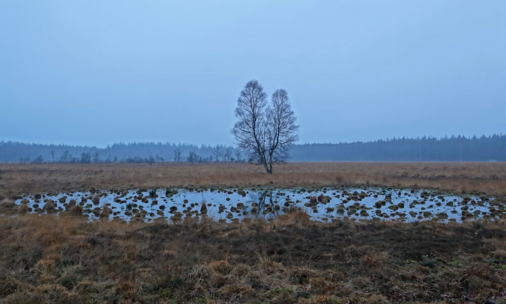 Drouwenerveld in de winter