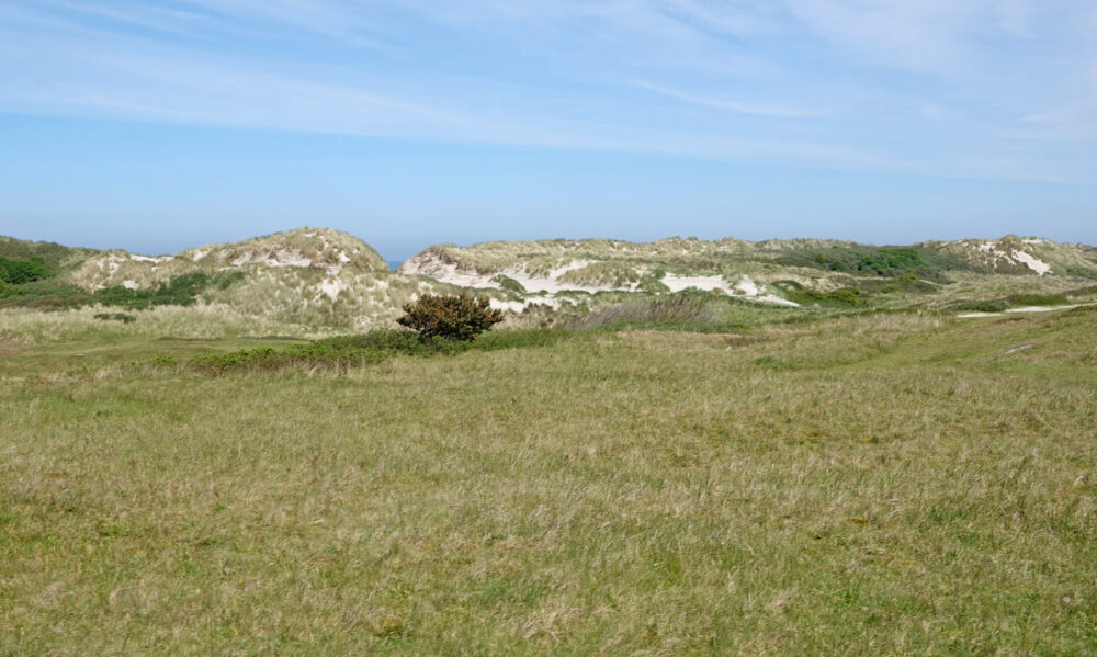 Duinen Ameland