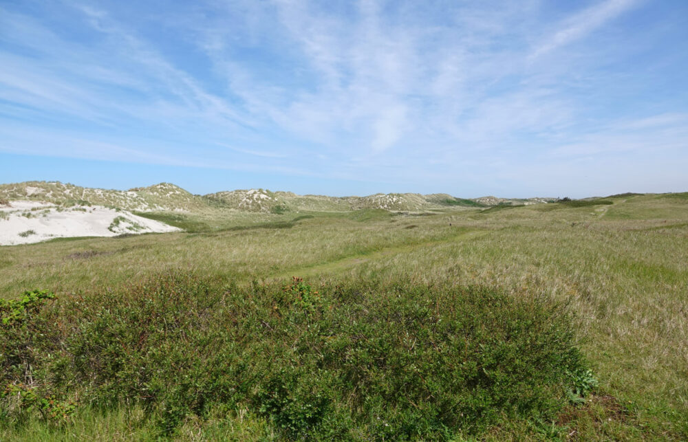 Duinen Ameland