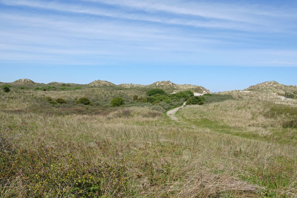 Duinen Ameland
