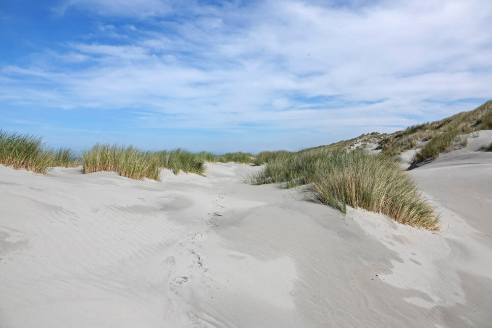Duinen Ameland