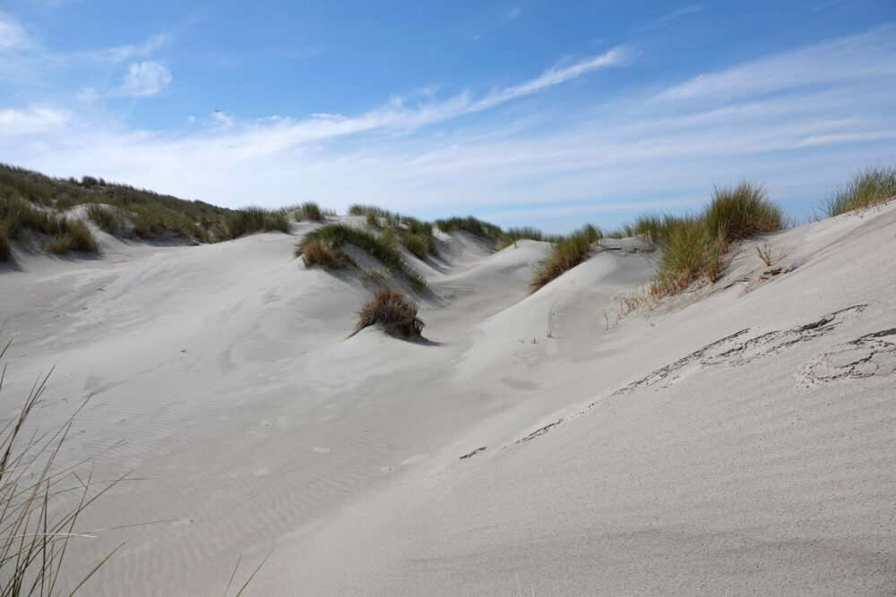 Duinen Ameland