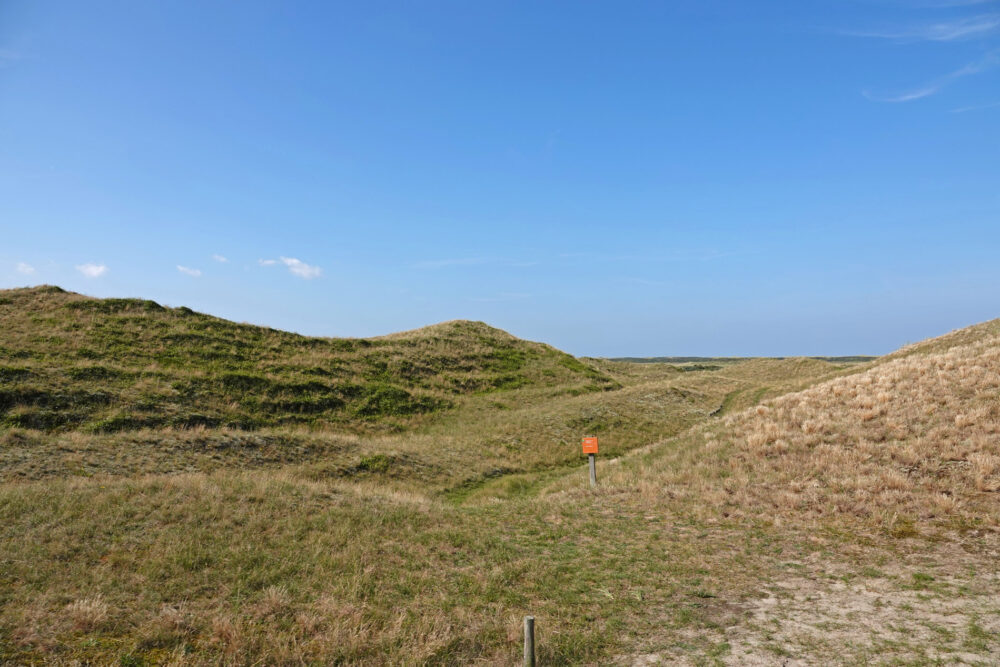 Duinen in de Slufter