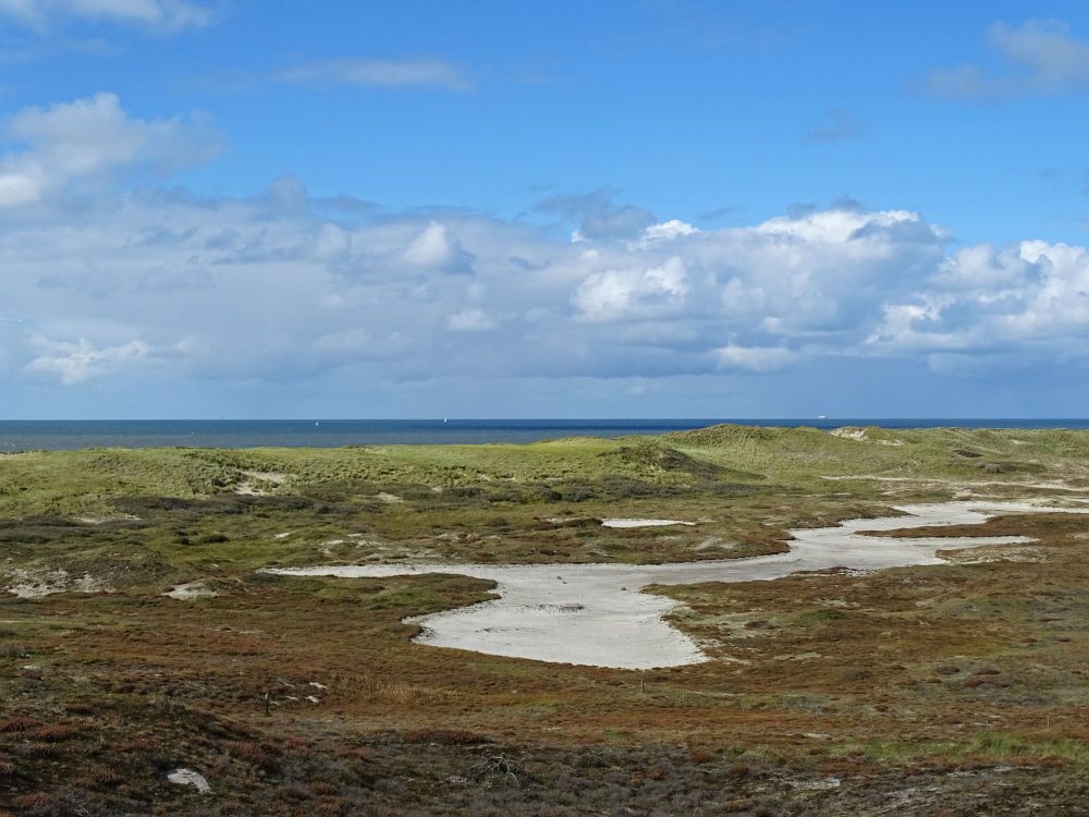 De Kerf (Schoorlse Duinen)
