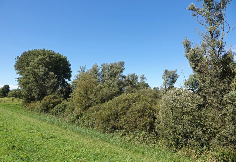 Duursche Waarden