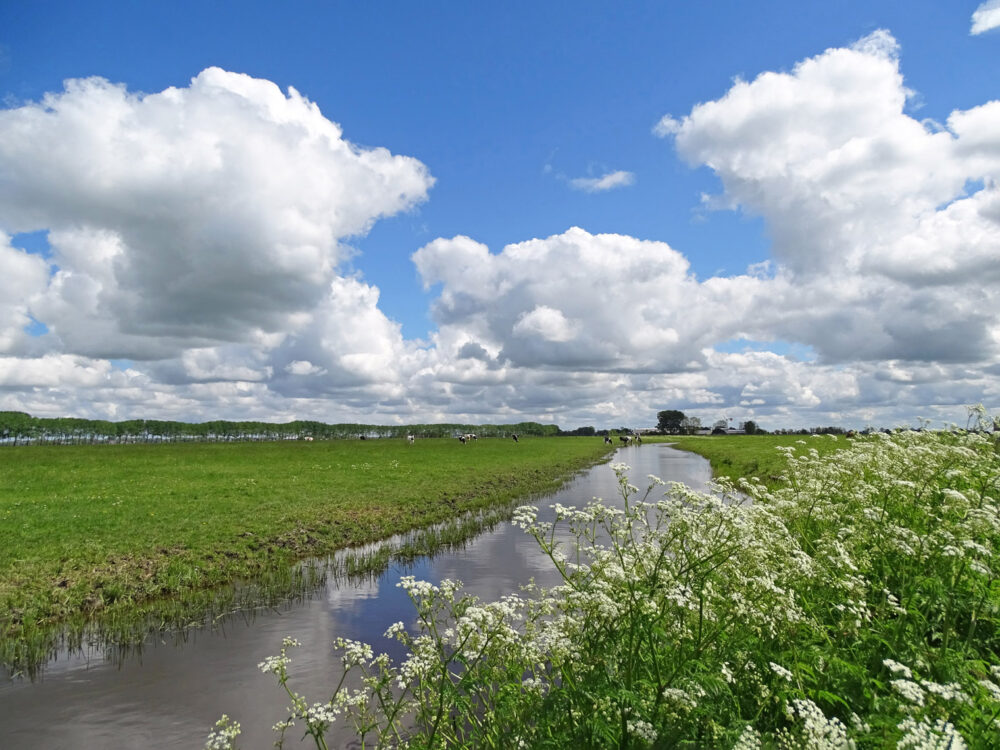 Dwarsdiep (Reitdiepdal)