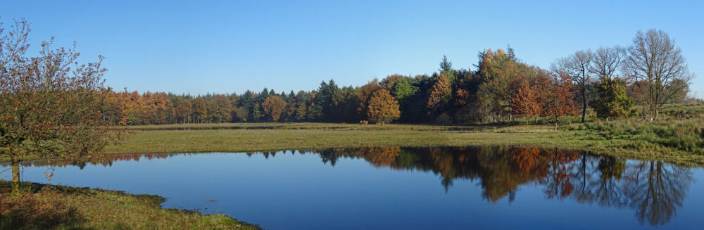 Dwingelderveld