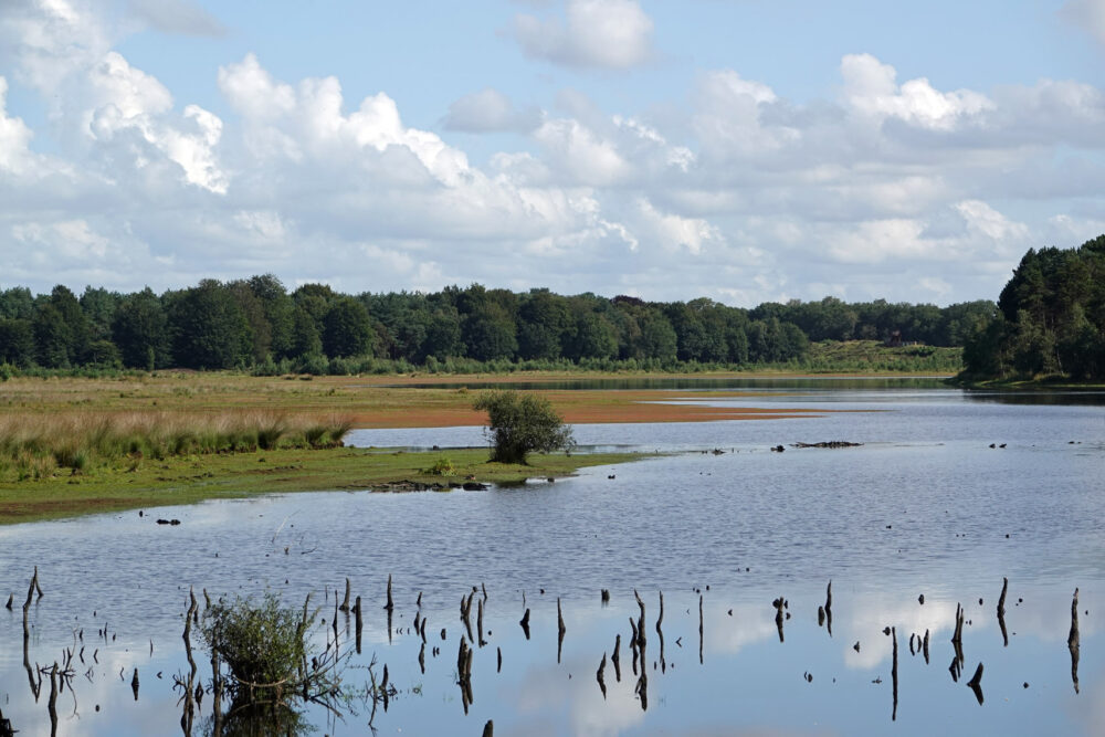 Dwingelderveld (Holtveen)