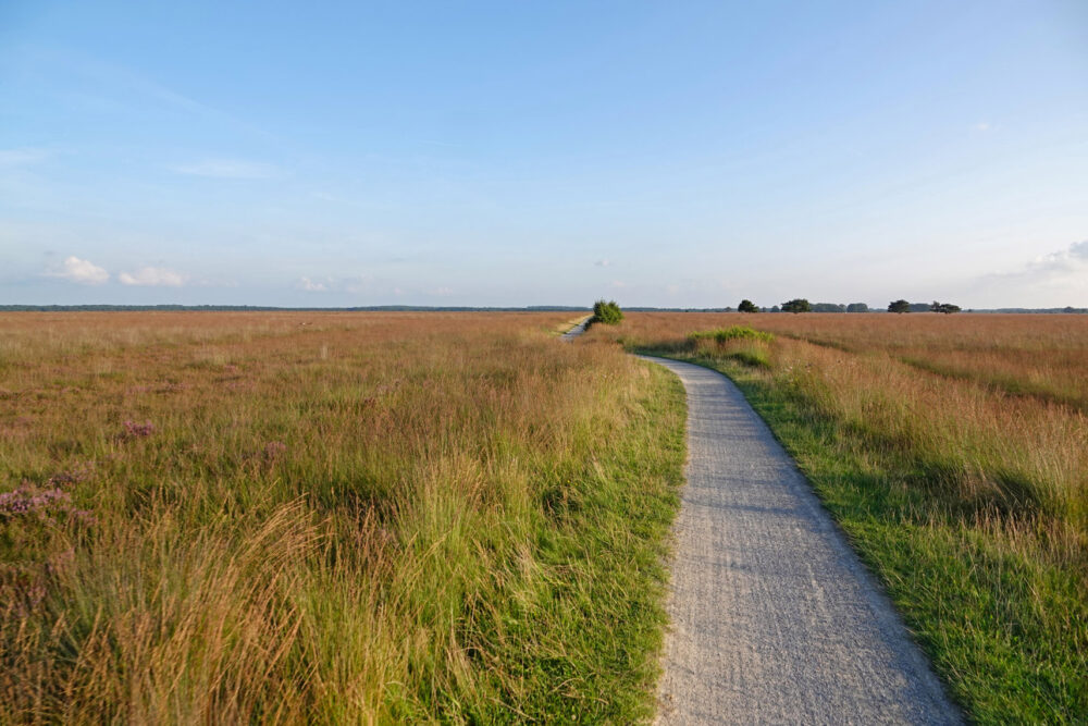 Dwingelose Heide in het najaar (Dwingelderveld)