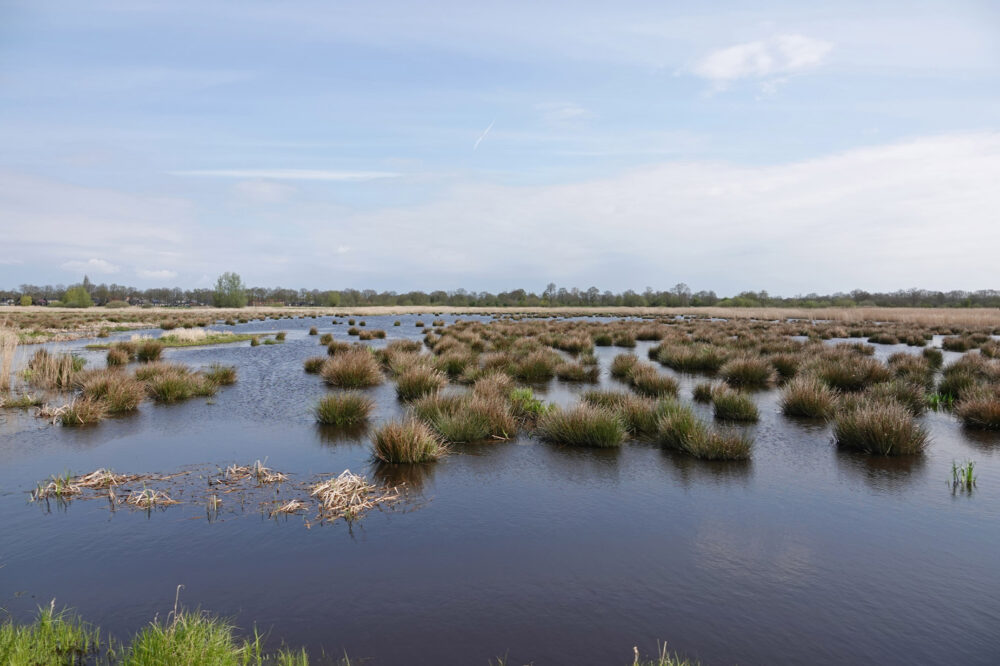 Eastermar - De Putten