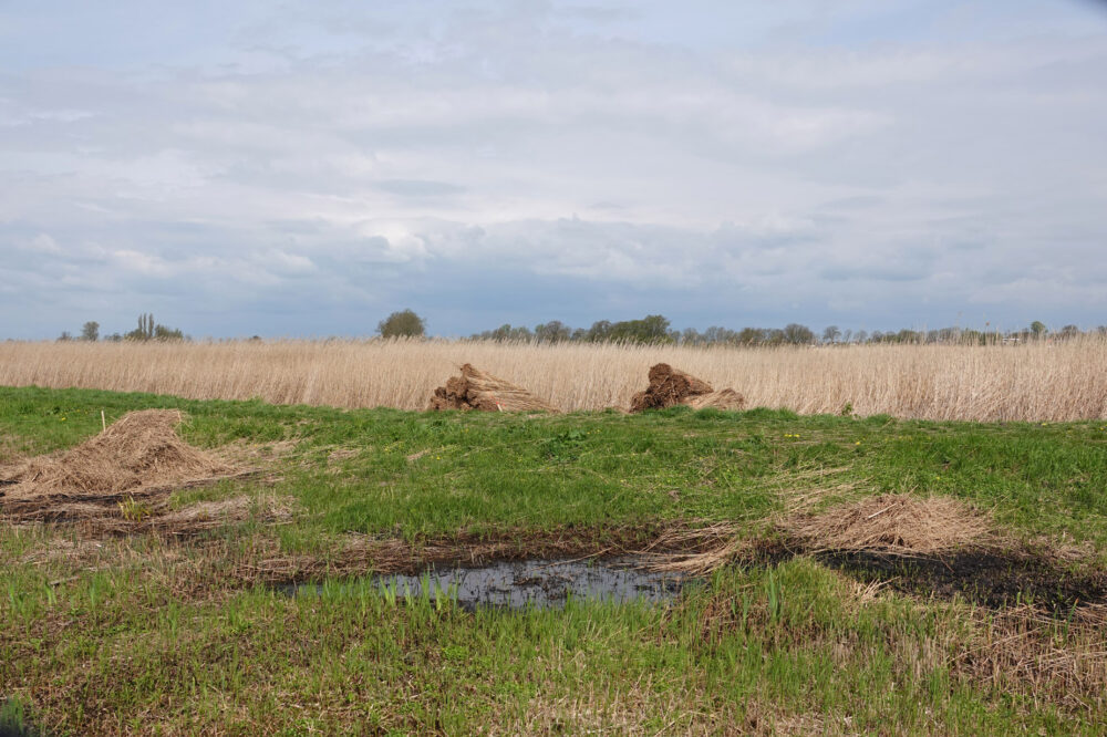 Eastermar - De Putten