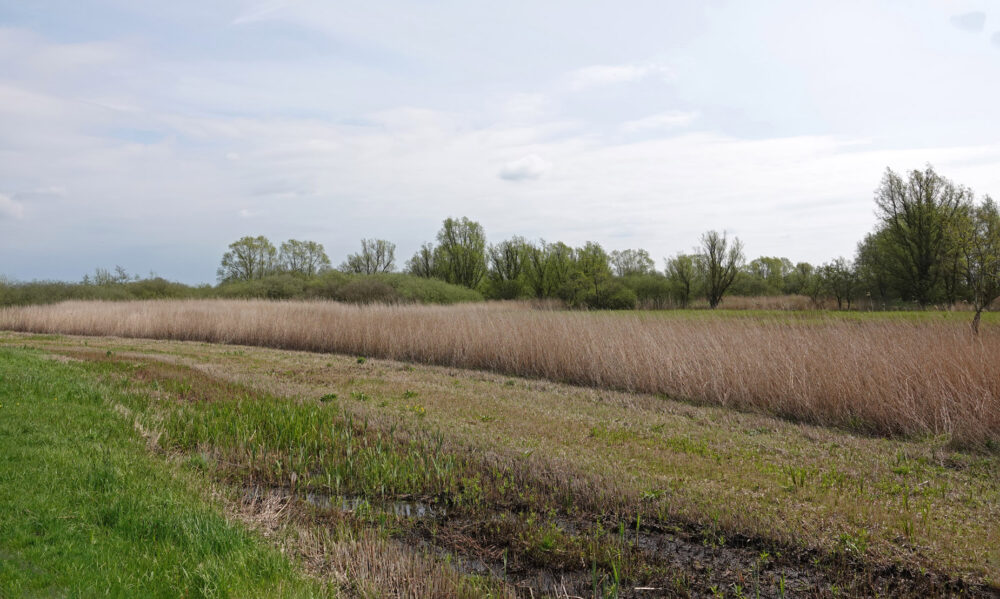 Eastermar - De Putten