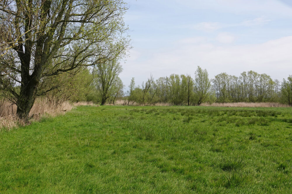 Eastermar - De Putten