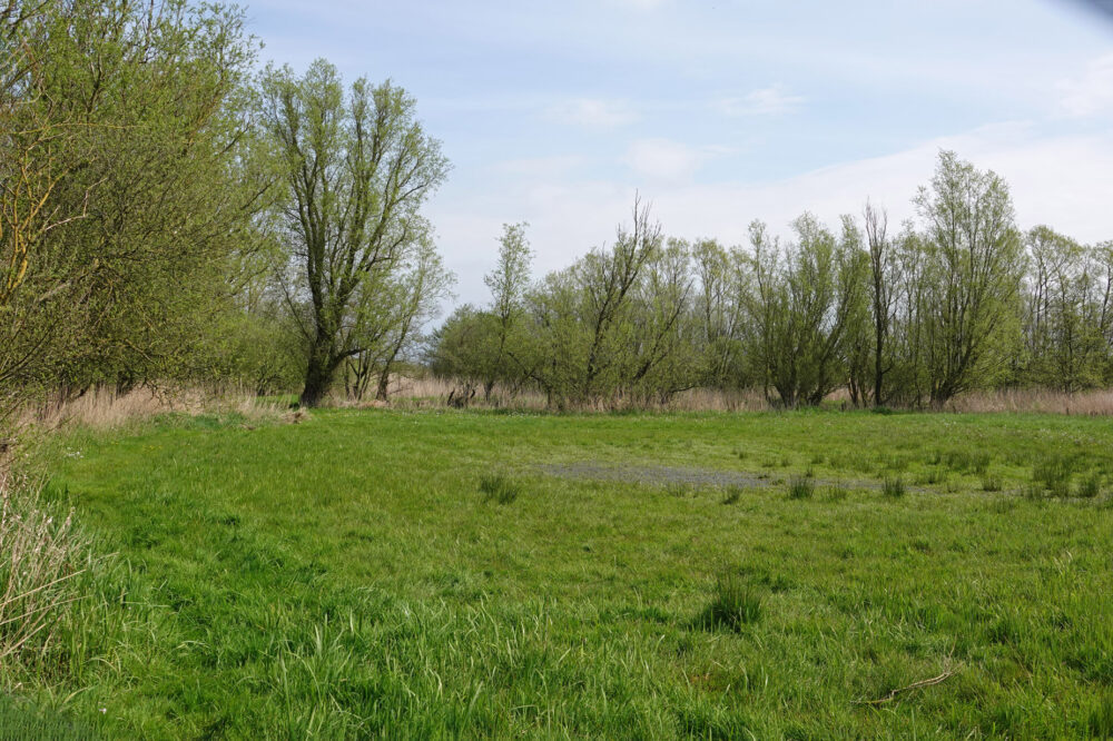Eastermar - De Putten