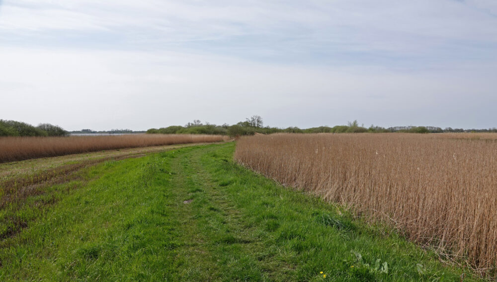 Eastermar - De Putten