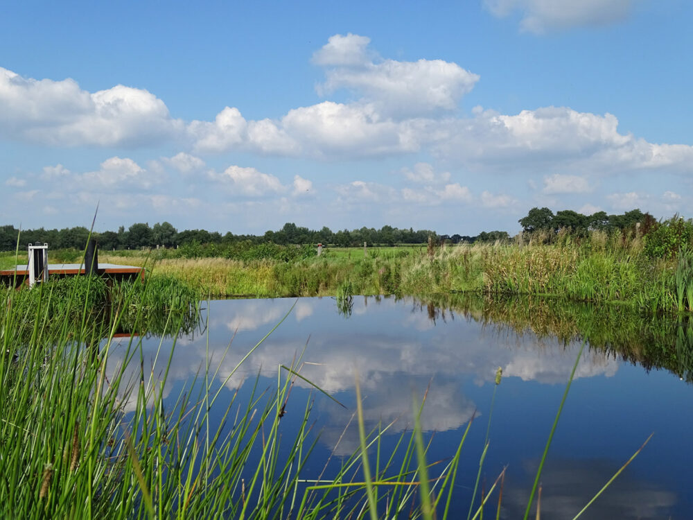 Eelderdiep (Kop van Drenthe)