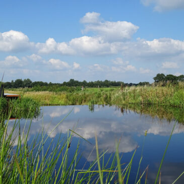 Eelderdiep (Kop van Drenthe)