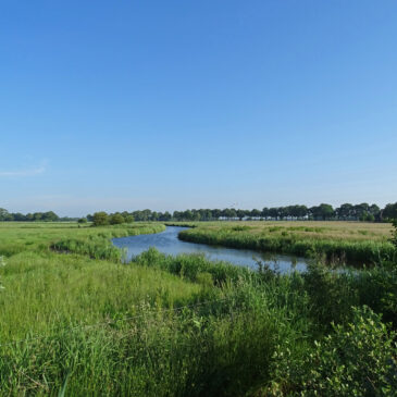 Eelderdiep (Onlanden)