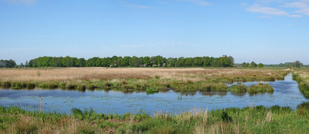 Eelderdiep (Onlanden) in het voorjaar