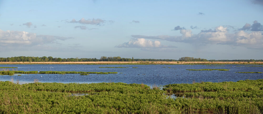 Eelderdiep (Onlanden) in het voorjaar