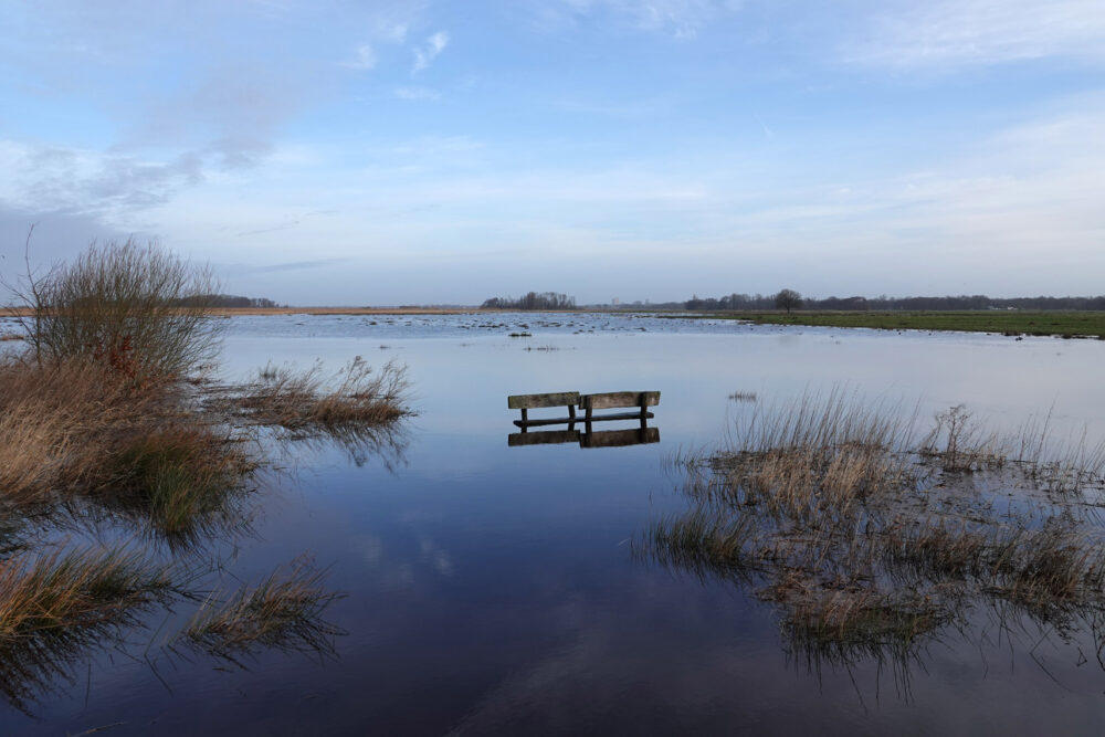 Eelderdiep buiten haar oevers (Onlanden)