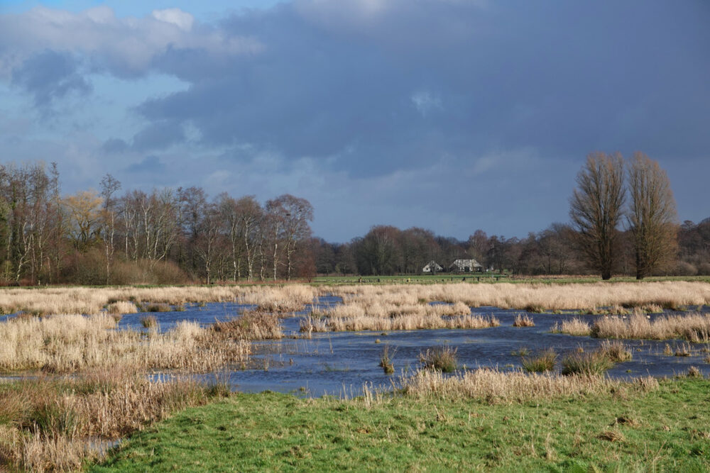 Eelderdiep buiten zijn oevers (Onlanden) ()