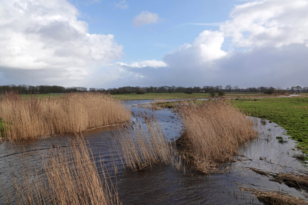 Eelderdiep buiten zijn oevers (Onlanden)