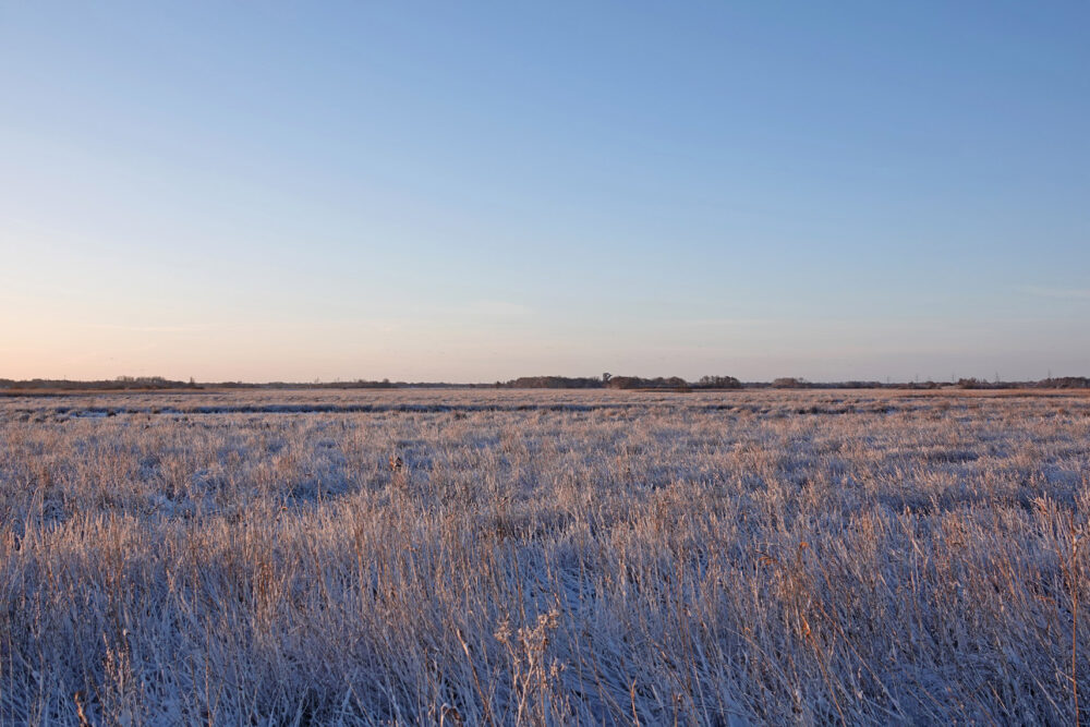 Eelderdiep deel in de winter (Onlanden)