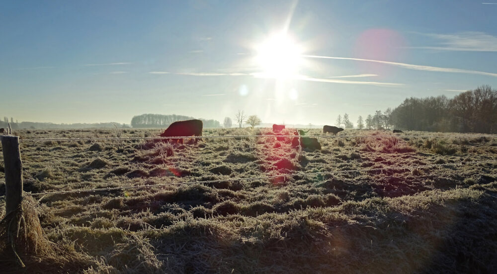 Eelderdiep gedeelte in de Onlanden na flinke nachtvorst ()