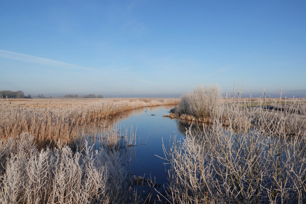 Eelderdiep in de rijp (Onlanden)