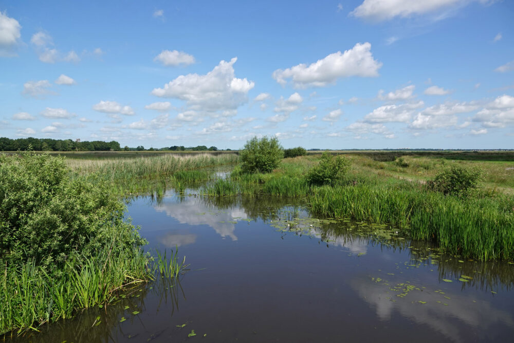 Eelderdiep in de zomer (Onlanden)