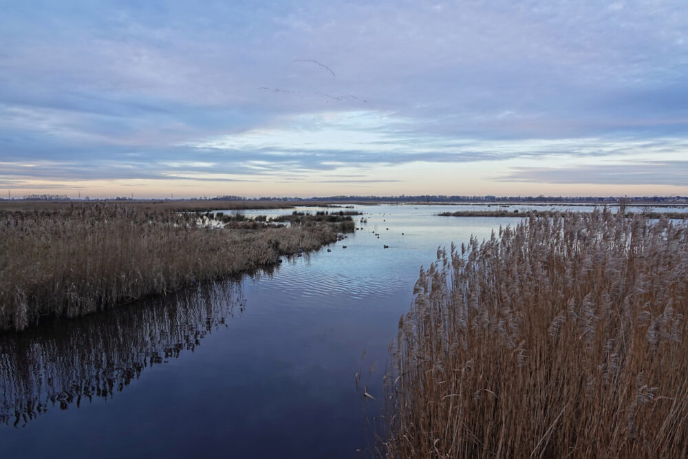 Eelderdiep in winter (Onlanden)