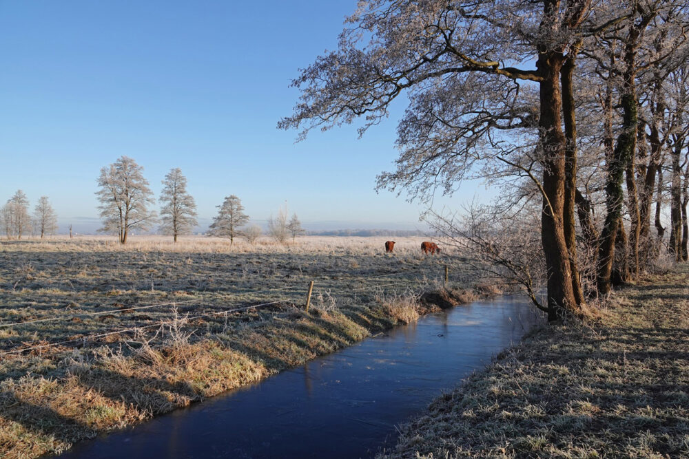 Eelderdiepgebied in de rijp (Onlanden)