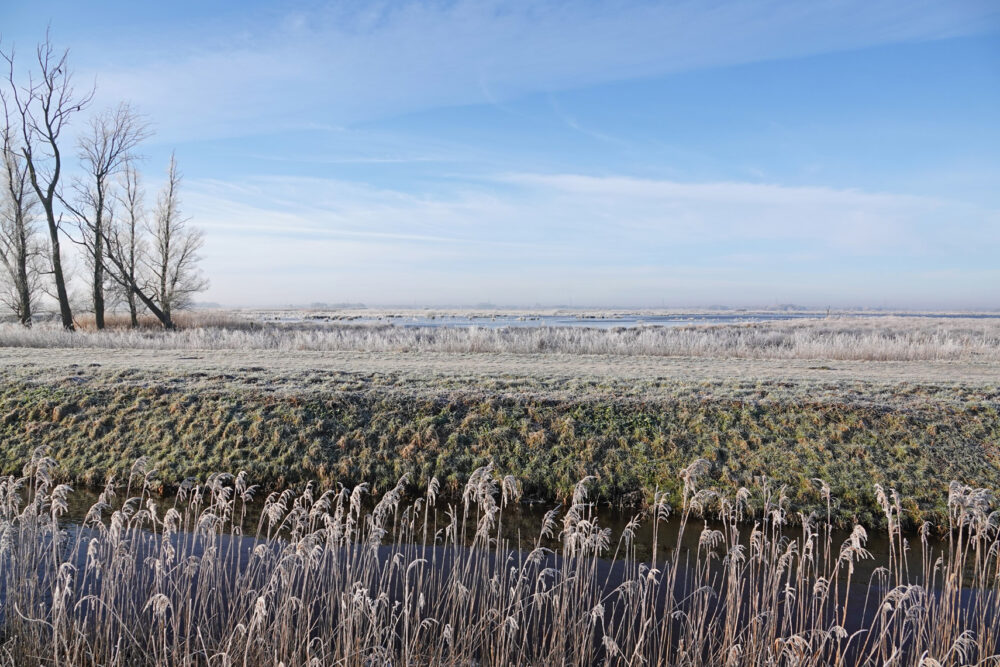 Eelderdiepgebied in de rijp (Onlanden)