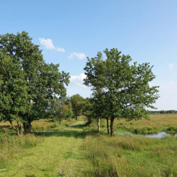 Eexterveld