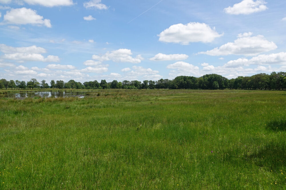 Eexterveld