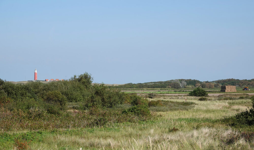 Eierlandse Duinen
