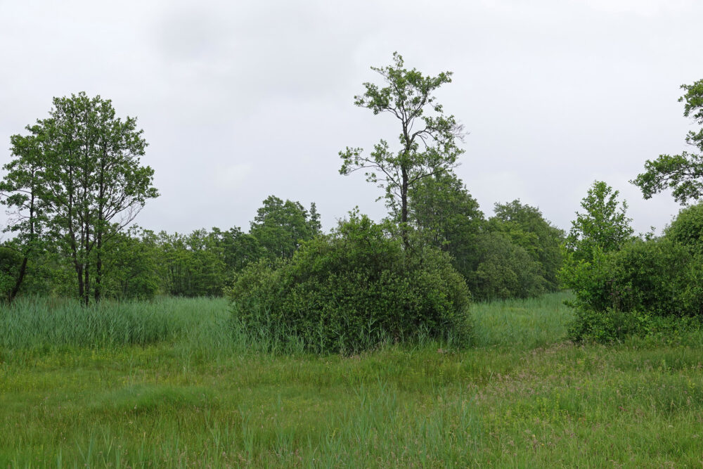 Elperstroomgebied