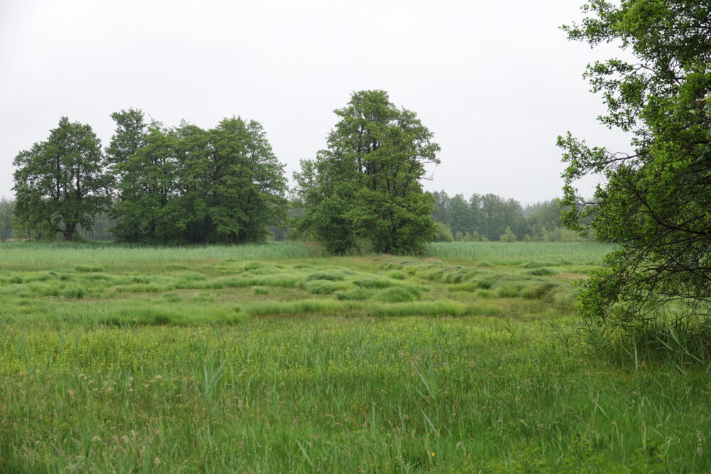 Elperstroomgebied