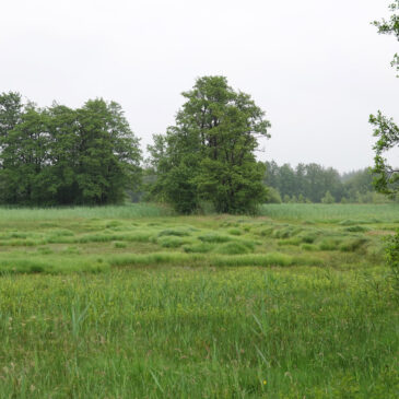Elperstroomgebied